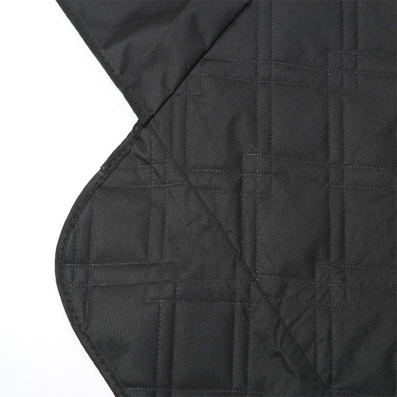 Pet Pad for Tesla Model 3 Y Re - Travel Accessories Deals avis et prix
