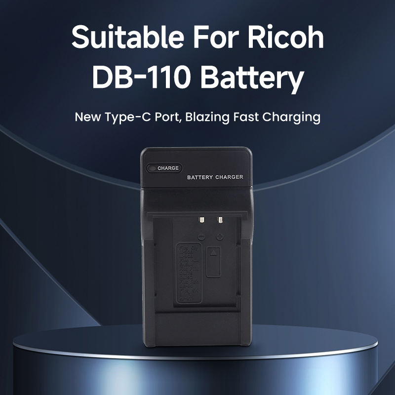 DB-110 Type-C Fast Charge Batt - Travel Accessories Inc avis et prix