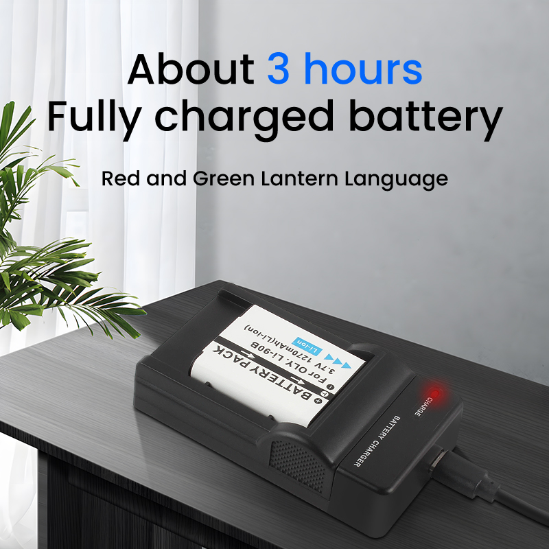 DB-110 Type-C Fast Charge Batt - Travel Accessories Inc avis et prix